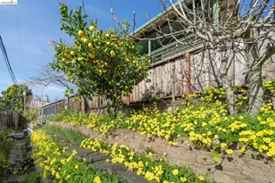 30229 Treeview St, Hayward, CA 94544 - Photo 42