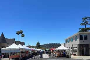 141 St Albans Rd, Kensington, CA 94708 - Photo 56