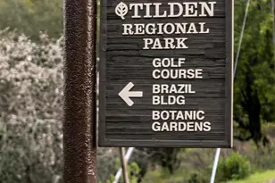 141 St Albans Rd, Kensington, CA 94708 - Photo 54