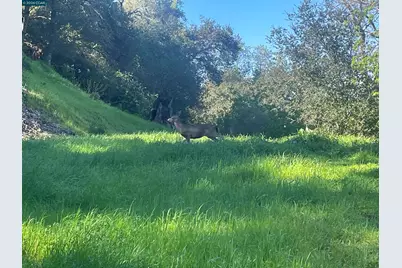 2965 Rohrer Dr, Lafayette, CA 94595 - Photo 2