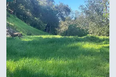 2965 Rohrer Dr, Lafayette, CA 94595 - Photo 6