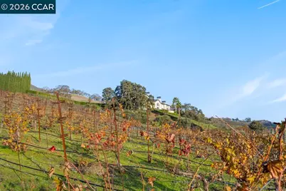 10 Serenity Ln, Alamo, CA 94507 - Photo 48