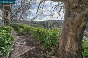 2005 Cactus Ct, Walnut Creek, CA 94595 - Photo 6