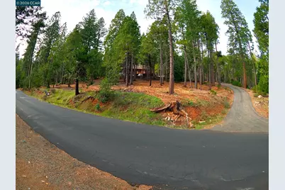 26625 Cedar Ave, Pioneer, CA 95666 - Photo 12