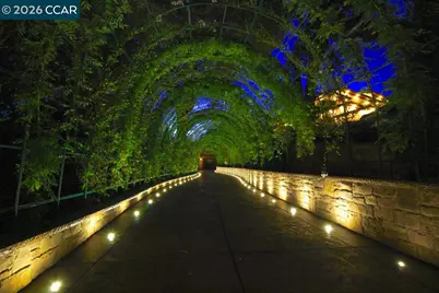 321 Livorna Heights Rd, Alamo, CA 94507 - Photo 10