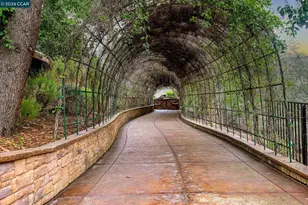 321 Livorna Heights Rd, Alamo, CA 94507 - Photo 36