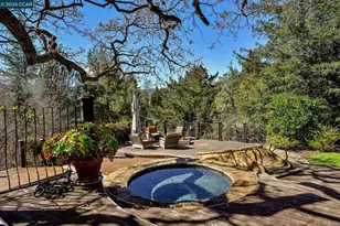 321 Livorna Heights Rd, Alamo, CA 94507 - Photo 50