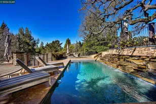 321 Livorna Heights Rd, Alamo, CA 94507 - Photo 48