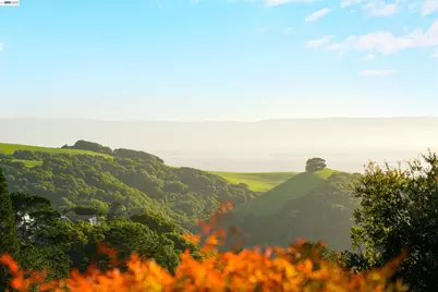 3499 La Mesa Dr, Hayward, CA 94542 - Photo 58