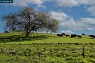 3139 Deerpark Dr, Walnut Creek, CA 94598 - Photo 54