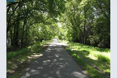 25 Woodland Dr, Alamo, CA 94507 - Photo 60