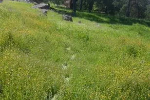 56 Deer Hollow Trail, Browns Valley, CA 95918 - Photo 1