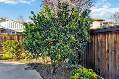 607 Bristol Ct, Brentwood, CA 94513 - Photo 46