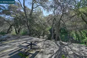 4372 Terra Granada Dr, Walnut Creek, CA 94595 - Photo 46