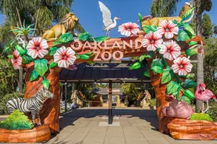 6055 Majestic Ave, Oakland, CA 94605 - Photo 54