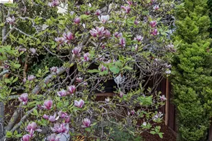 5416 Golden Gate Ave, Oakland, CA 94618 - Photo 34