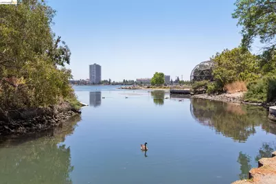 565 Bellevue Ave #806, Oakland, CA 94610 - Photo 44