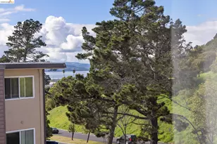 3161 Birmingham Dr, Richmond, CA 94806 - Photo 20