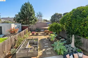 1646 Ashby Ave, Berkeley, CA 94703 - Photo 36