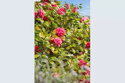 233 Capricorn Ave, Oakland, CA 94611 - Photo 32