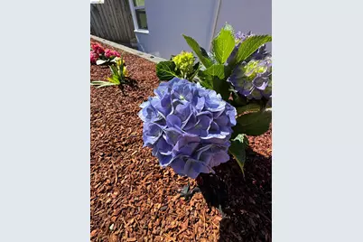 1909 Francisco Way, Richmond, CA 94805 - Photo 46