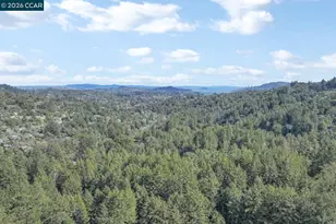 421 Rose Ave, Mill Valley, CA 94941 - Photo 38