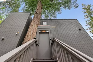 39 Canyon Rd, Berkeley, CA 94704 - Photo 6