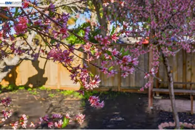 1565 Mendoza Ct, Pleasanton, CA 94566 - Photo 34