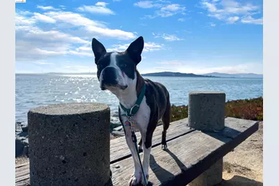 2153 Northshore Dr, Richmond, CA 94804 - Photo 56