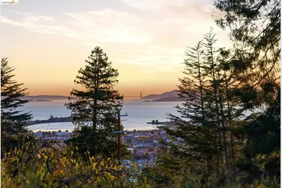 21 Norwood Avenue, Kensington, CA 94707 - Photo 58