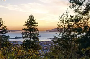 21 Norwood Ave, Kensington, CA 94707 - Photo 58