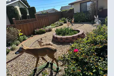 5671 Coral Ct, Fremont, CA 94538 - Photo 8