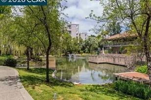 450 Civic Dr, Walnut Creek, CA 94596 - Photo 20