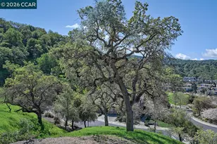 539 High Eagle Ct, Walnut Creek, CA 94595 - Photo 12