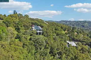 319 Tappan Terrace, Orinda, CA 94563 - Photo 50