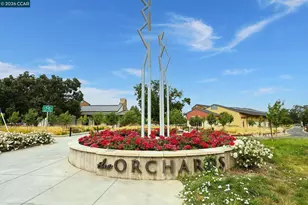 414 Peppertree Rd, Walnut Creek, CA 94598 - Photo 42