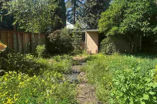 2533 Harrington Ave, Oakland, CA 94601 - Photo 28