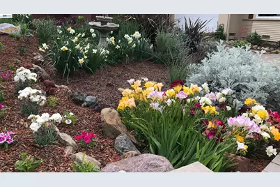 682 Jennie Ct, Lafayette, CA 94549 - Photo 52