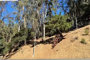 5847 Ascot Dr, Oakland, CA 94611 - Photo 12