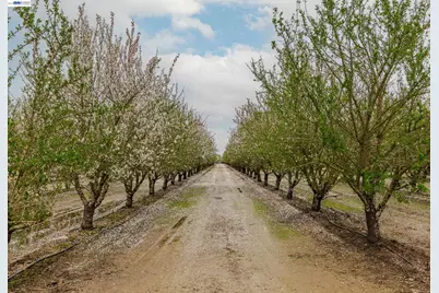 1707 Bowman Rd, French Camp, CA 95231 - Photo 14