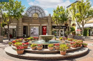 1251 Homestead Ave, Walnut Creek, CA 94598 - Photo 28