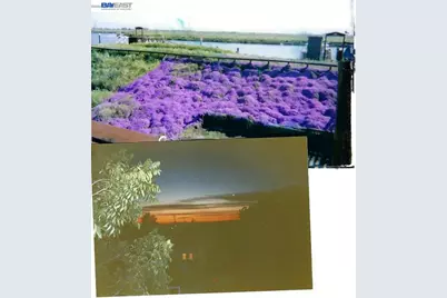 1480 Taylor Rd, Bethel Island, CA 94511 - Photo 18