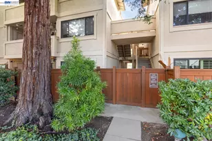 2513 Lucy Ln, Walnut Creek, CA 94595 - Photo 18