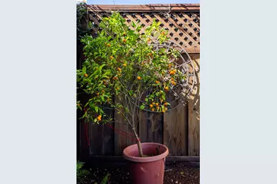 409 Pershing Dr, San Leandro, CA 94577 - Photo 52