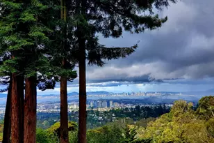 2633 Chelsea Dr, Oakland, CA 94611 - Photo 60