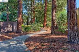 4235 Tanager Common, Fremont, CA 94555 - Photo 30