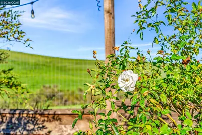 116 Spalding Ct, San Ramon, CA 94582 - Photo 54