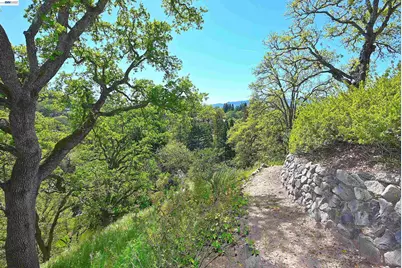 16 Ardendale Ct, Alamo, CA 94507 - Photo 38