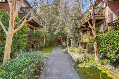 232 Race St, San Jose, CA 95126 - Photo 38