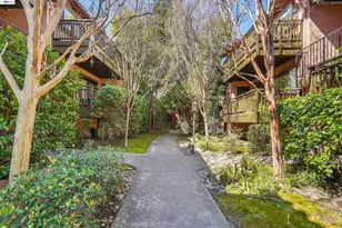 232 Race St, San Jose, CA 95126 - Photo 38